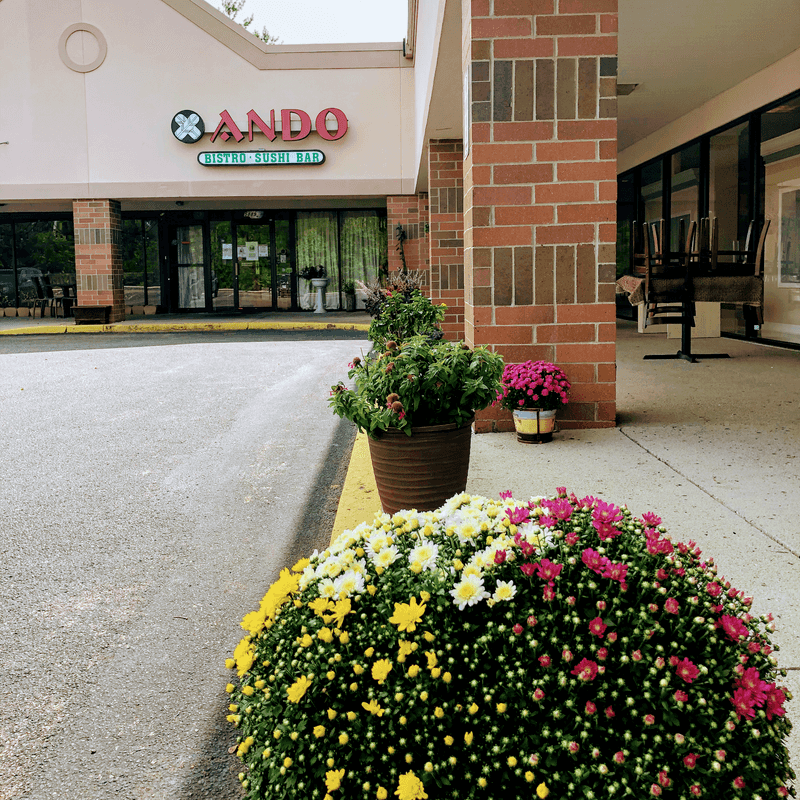 #6 Ando Japanese Restaurant, Blue Ash