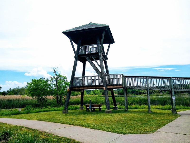 Climb the Tower for the Big-Picture View
