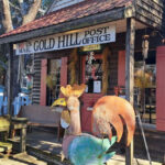 6 Historic Villages in North Carolina That Bring the Past to Life