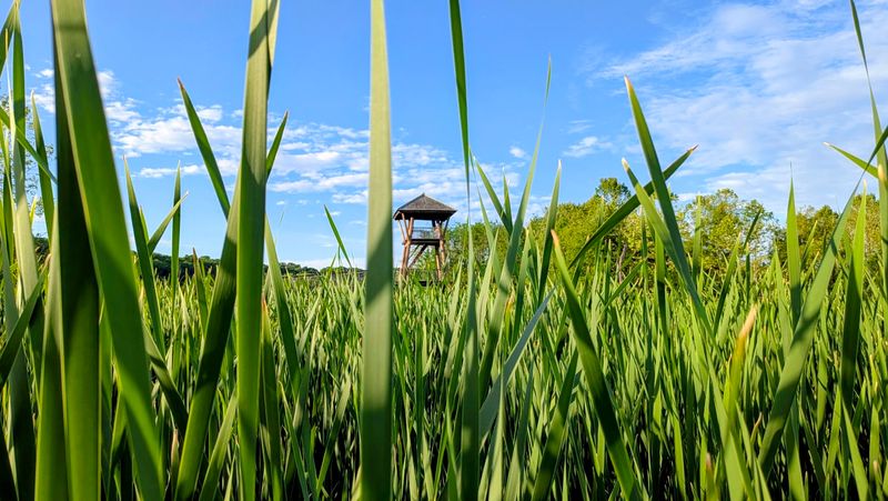 Short Loop, Big Payoff, Easy Ways to Enjoy the Park