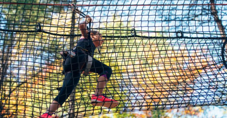 7 Thrilling New Jersey Treetop Adventures You Have To Experience At Least Once