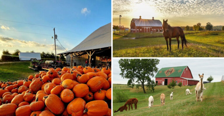 8 Jaw-Dropping Indiana Farms That Deserve Way More Attention