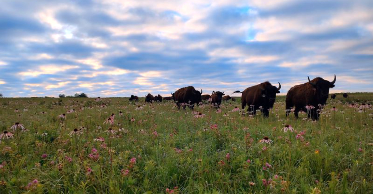 8 Missouri State Parks That Don't Get Nearly the Attention They Deserve