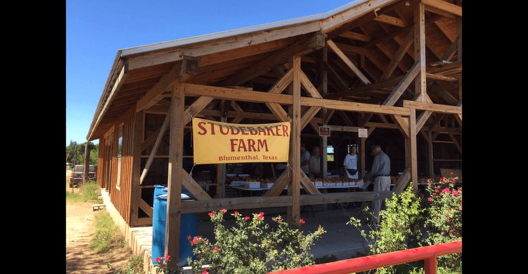 8 Texas Fruit Stands Locals Plan Drives Around for Fresh Peaches and Melons