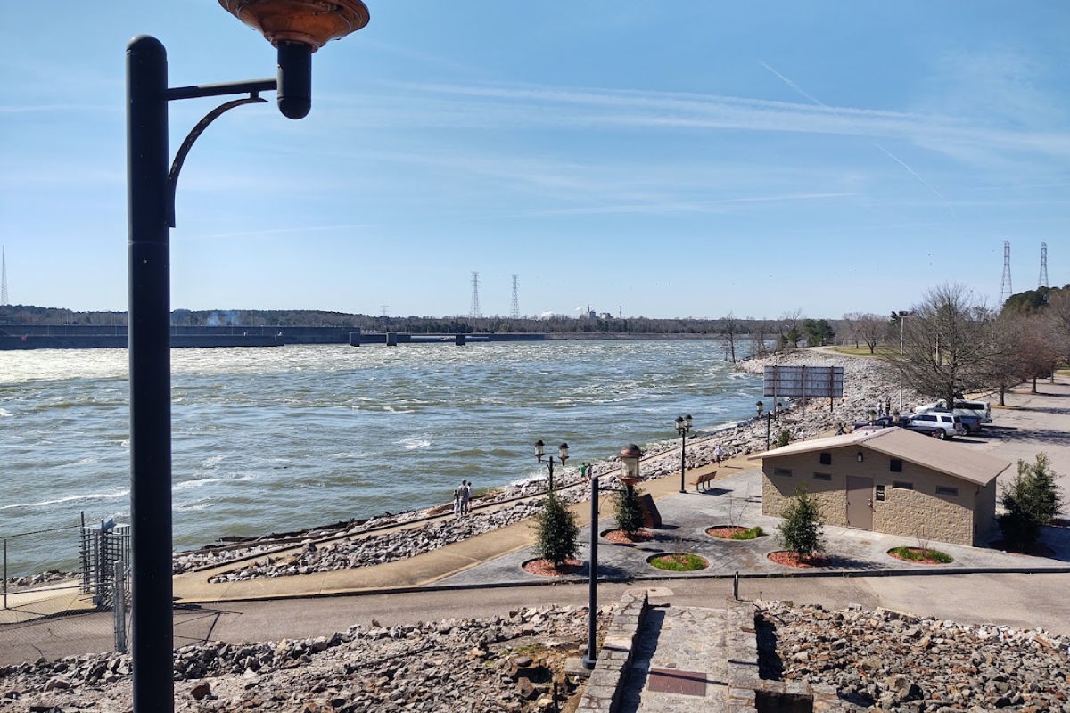 9 Tennessee Lake and River Shores Where You Can Find Fossils and Colorful Stones