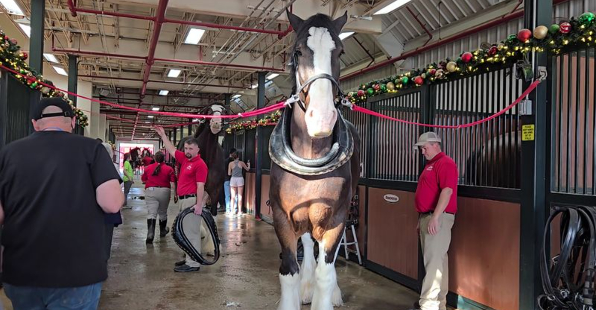 9 Missouri Factory Tours That Are More Fun Than You'd Ever Expect