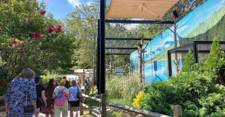 9 Unforgettable Outdoor Adventures in New Jersey That Cost Nothing