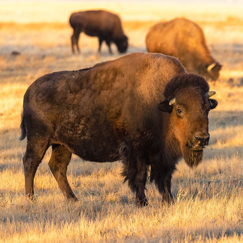 Why This Refuge Stands Apart Near Denver Why This Refuge Stands Apart Near Denver