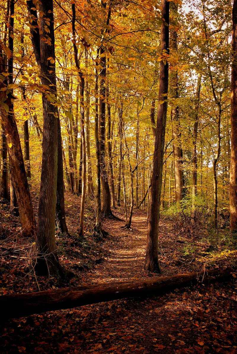 A 3,100-Acre Escape Hiding Right in Nashville A 3,100-Acre Escape Hiding Right in Nashville