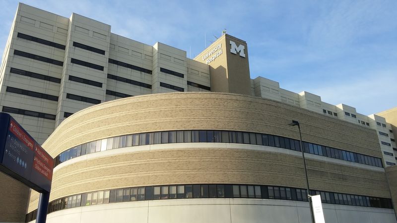 A Big-League Hospital in Michigan, Not a Small-Town Clinic A Big-League Hospital in Michigan, Not a Small-Town Clinic