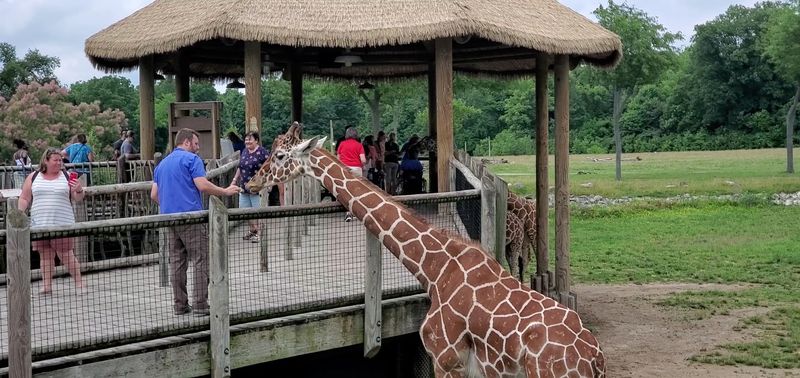 A Big Zoo Day Means More Than One Highlight A Big Zoo Day Means More Than One Highlight