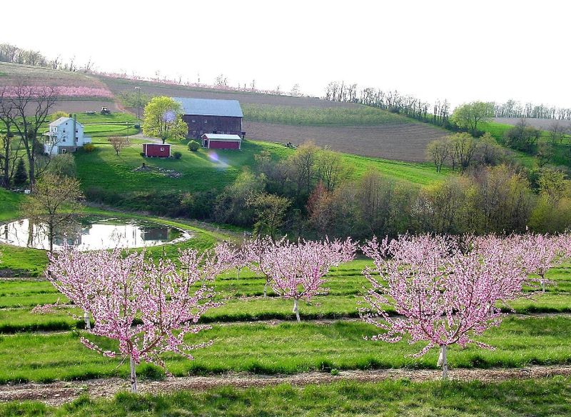 A Country Setting That Feels Calm