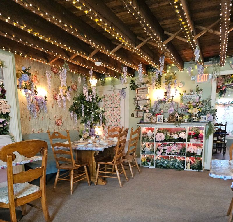 A Cozy Spot for Celebrations and Rainy Days A Cozy Spot for Celebrations and Rainy Days
