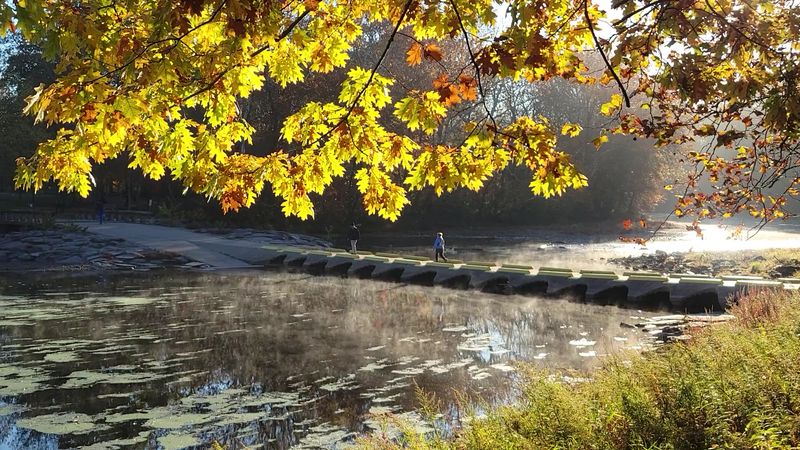 A Creekside Scene That Feels Brushed With Color