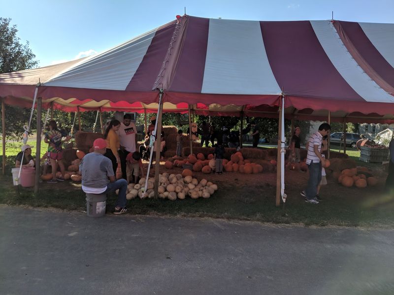 A Farm Market Full Of Fall Treats A Farm Market Full Of Fall Treats