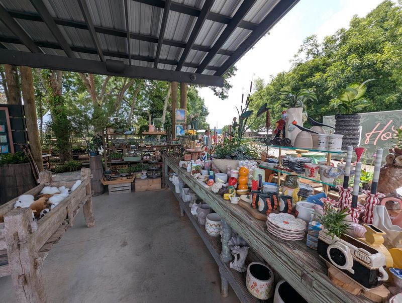 A Farmers Market With More Than Produce A Farmers Market With More Than Produce