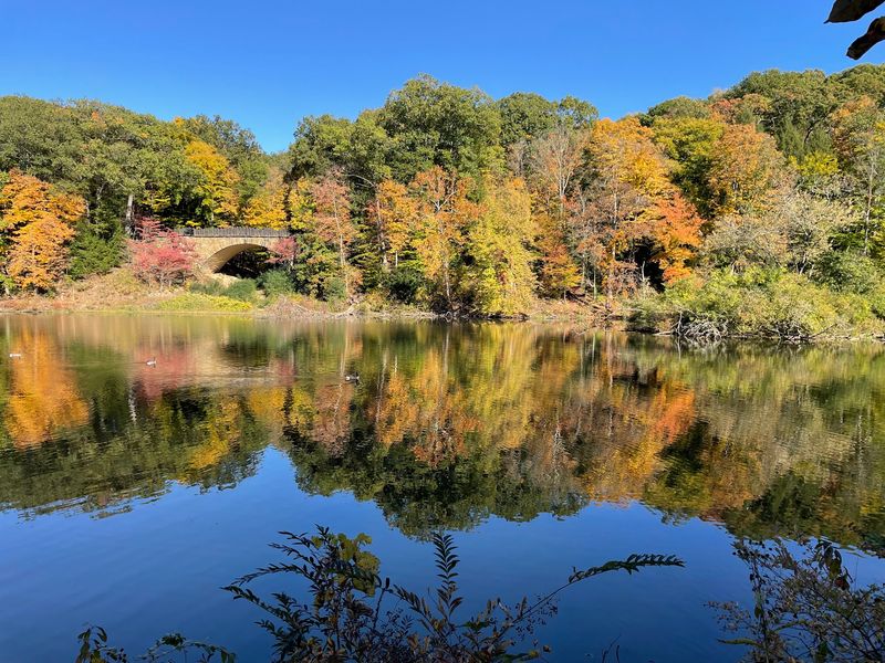A Favorite Spot for Photos and Special Moments