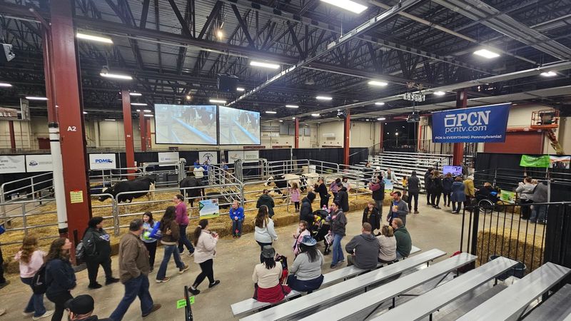 A Giant Venue That Feels Like an Adventure A Giant Venue That Feels Like an Adventure