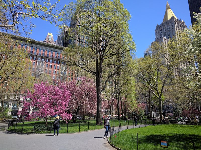 A Green Break in the Middle of Manhattan