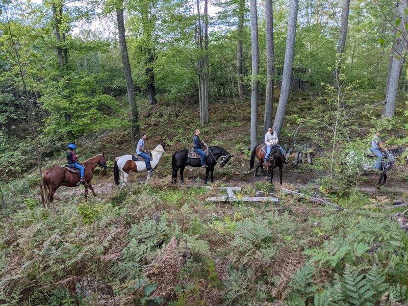 A Horse Match That Changes the Whole Ride