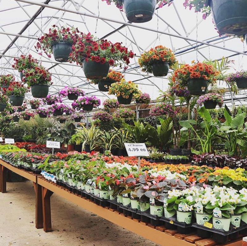 A Huge Plant Selection That Rewards Slow Browsing A Huge Plant Selection That Rewards Slow Browsing