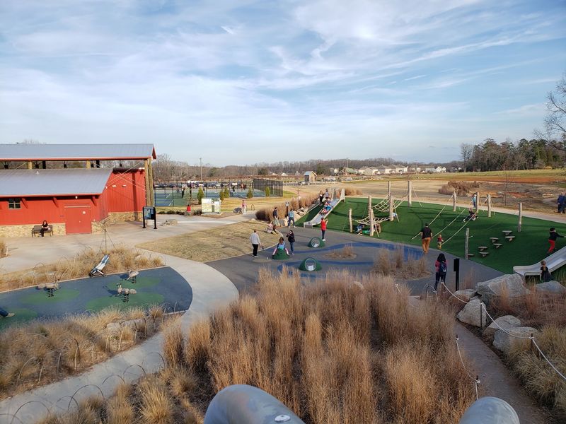 A Lively Sports Scene Keeps the Energy Up