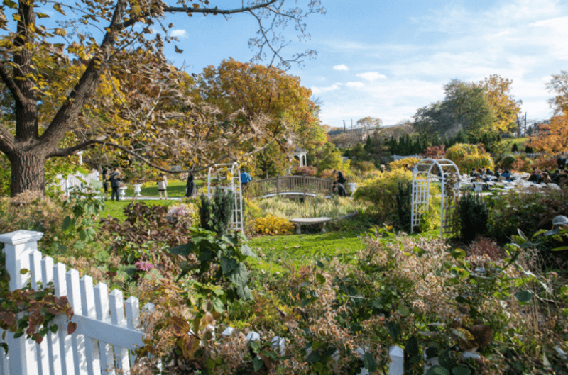 A Lovely Spot For Gatherings And Special Days A Lovely Spot For Gatherings And Special Days