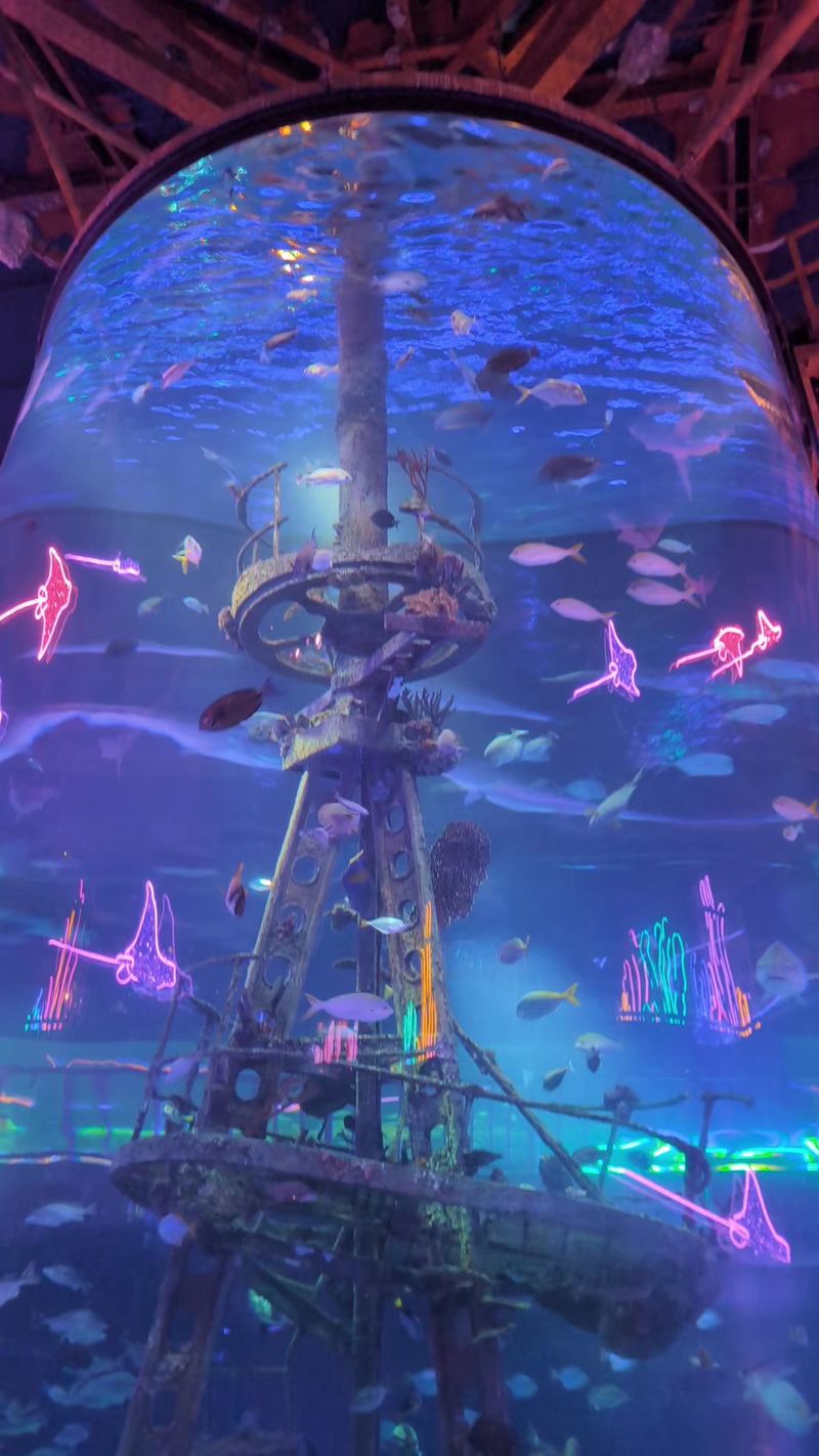 A Massive Aquarium Journey Through Water Worlds A Massive Aquarium Journey Through Water Worlds