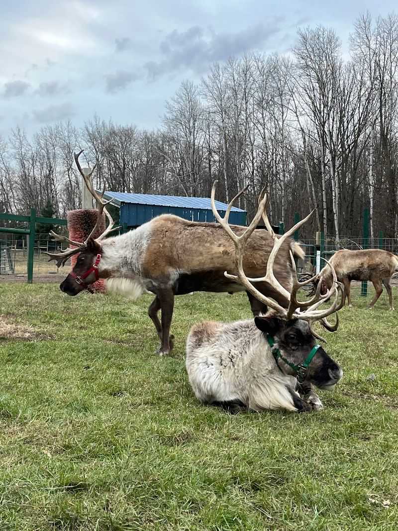 A Michigan Farm With a Second Season