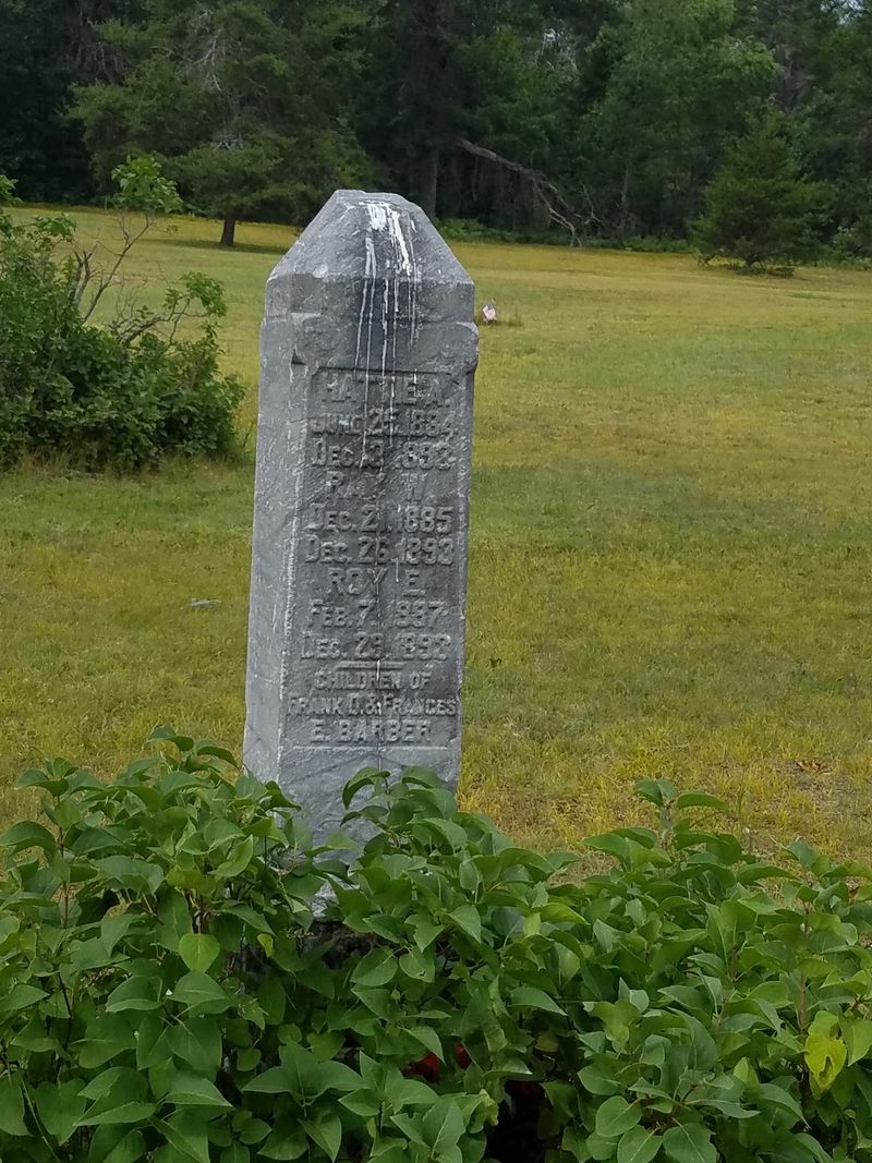A Michigan Lumber Town That Burned Bright and Faded Fast