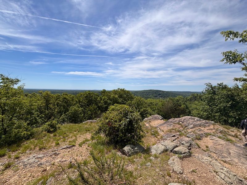A Moderate Loop Through New Jersey’s Wild Side