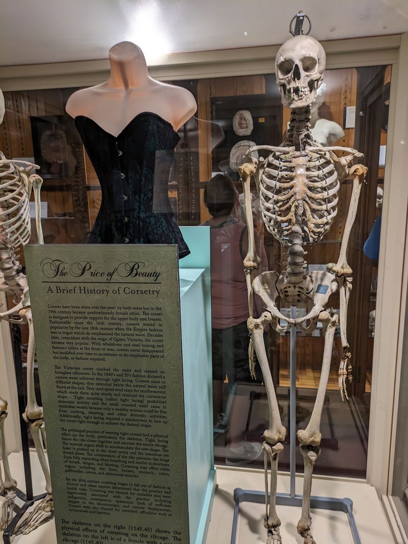 A Museum Where Medicine Meets Mystery A Museum Where Medicine Meets Mystery