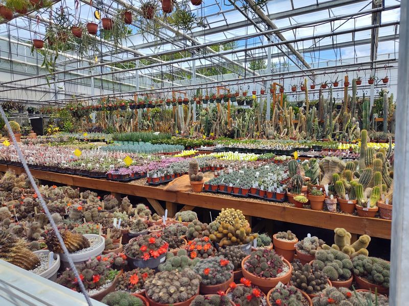 A Plant Selection That Feels Endless A Plant Selection That Feels Endless