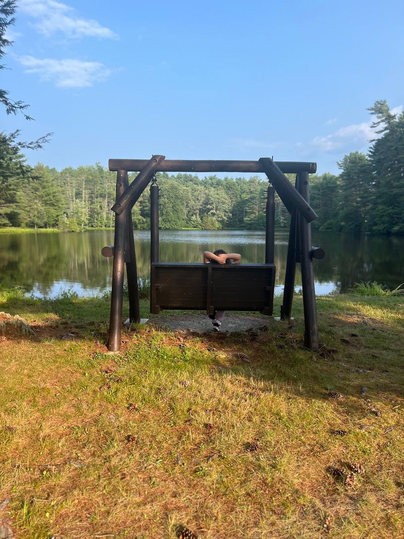 A Pond Scene Made For Slow Moments A Pond Scene Made For Slow Moments