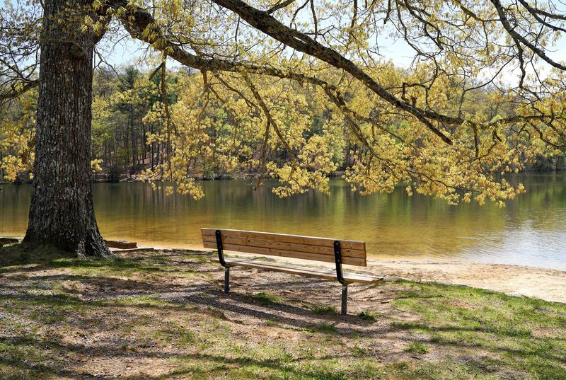 A Real Sandy Beach in the Heart of Tennessee