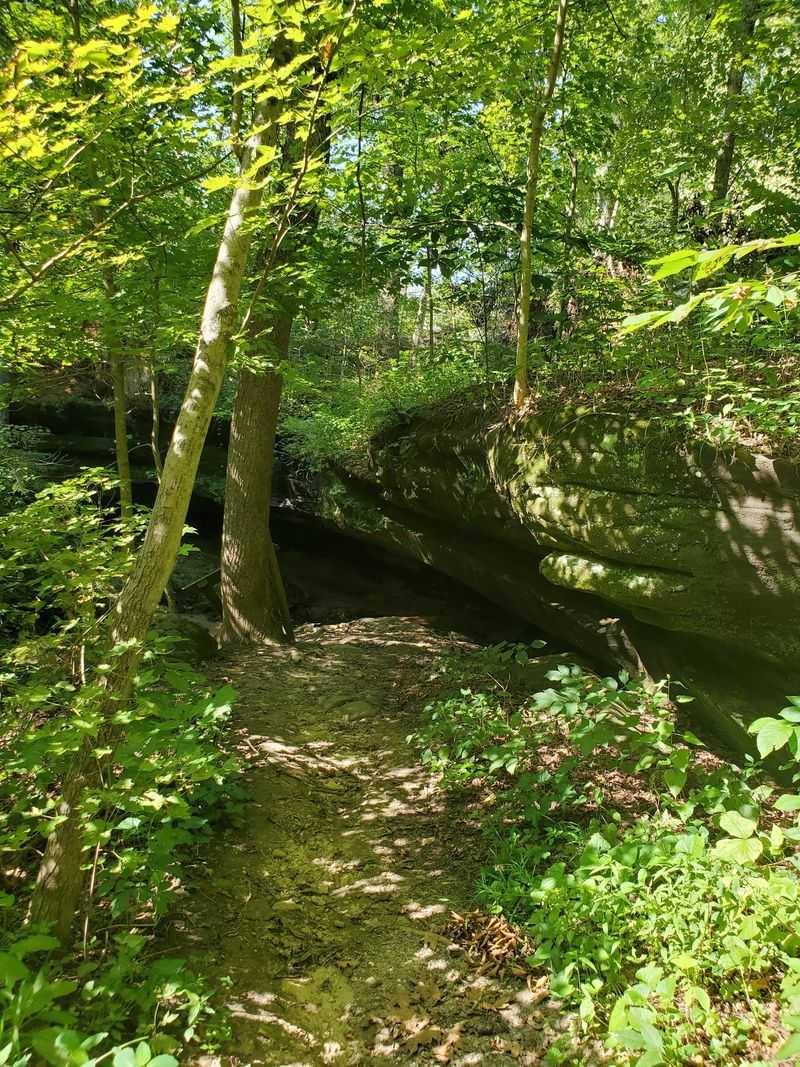 A Short Trail With More Than Expected A Short Trail With More Than Expected