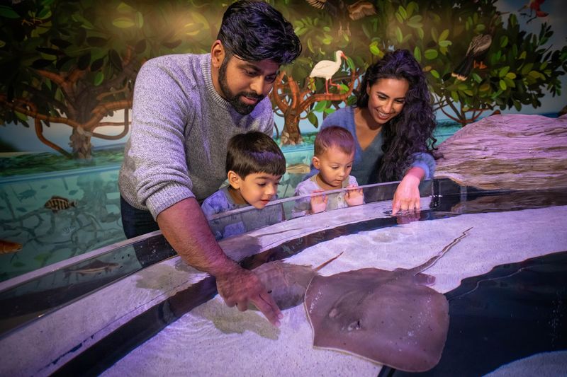 A Small Aquarium That Feels Easy, Not Overwhelming