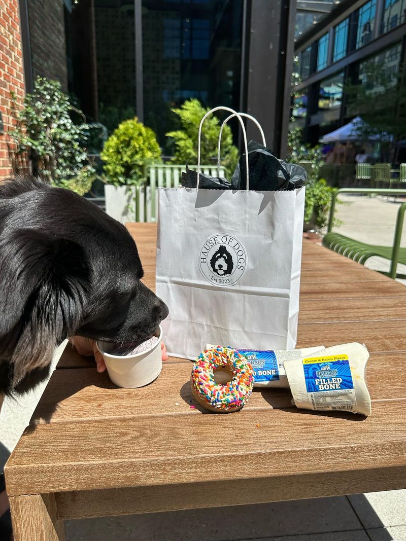 A Small Downtown Shop With a Big Dog Community A Small Downtown Shop With a Big Dog Community