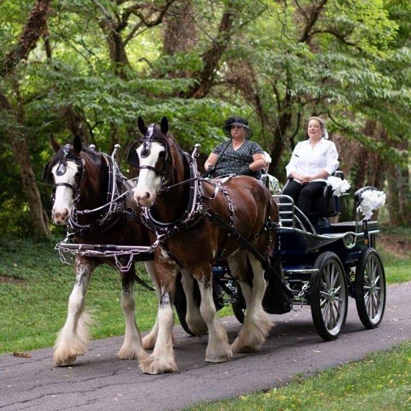 A Storybook Farm Adventure in the Tennessee Countryside