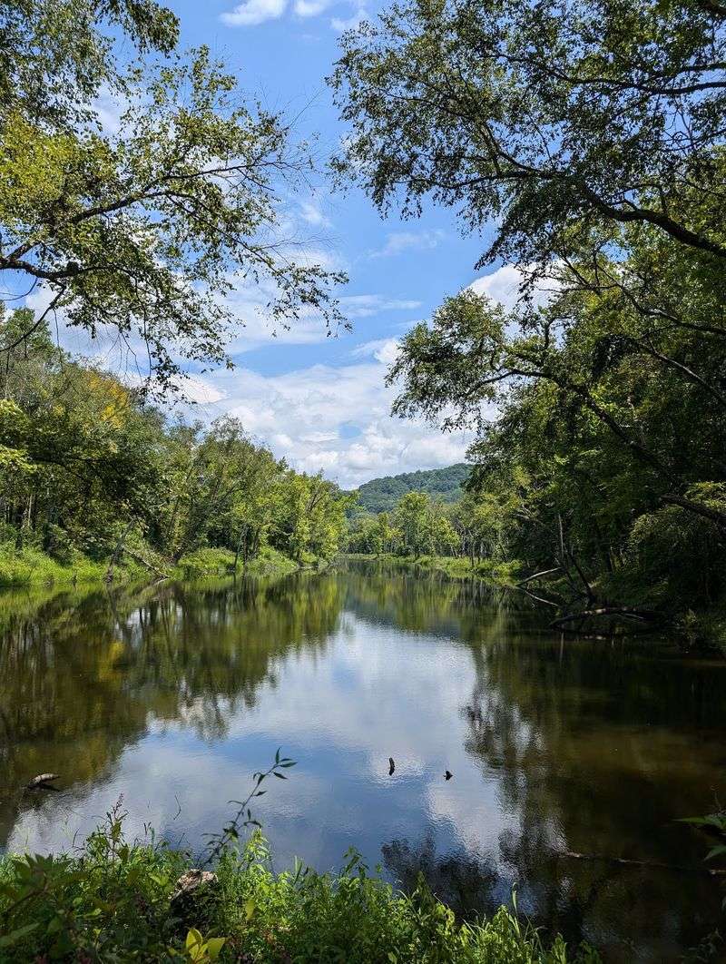 A Surprising Transformation in the Heart of Jellico A Surprising Transformation in the Heart of Jellico