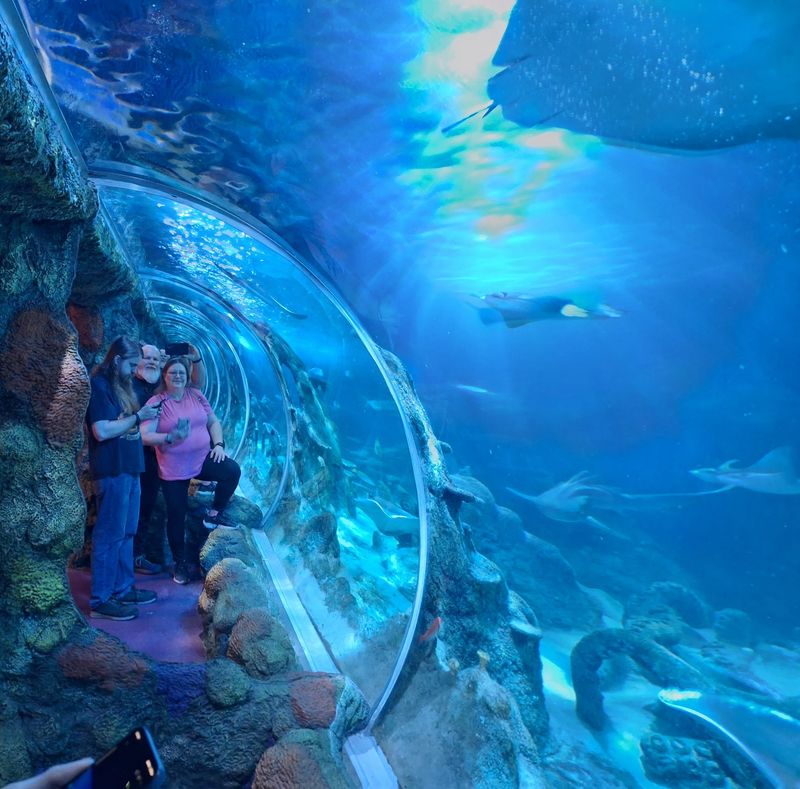 A Tunnel That Makes the Ocean Feel Close A Tunnel That Makes the Ocean Feel Close