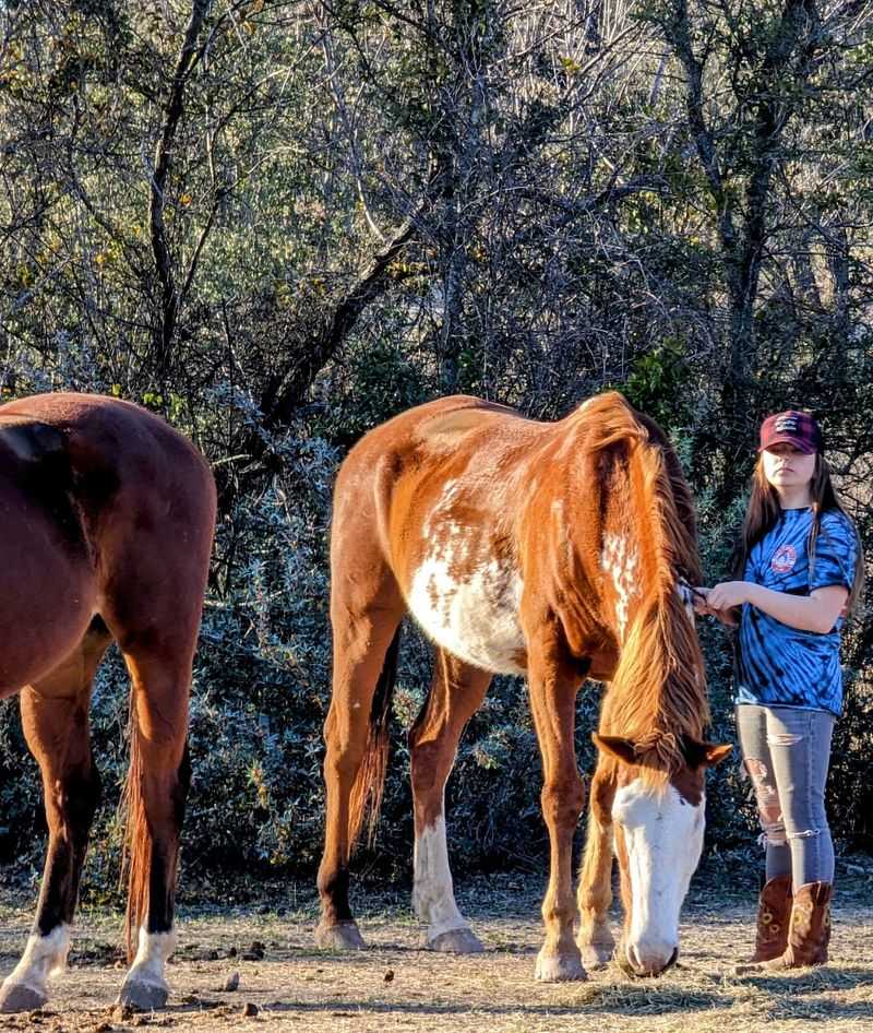 A Working Ranch Where Hospitality Feels Like Family A Working Ranch Where Hospitality Feels Like Family