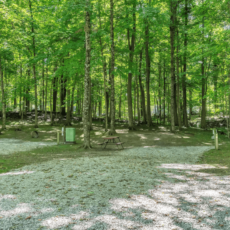 A campground that feels more scenic than expected A campground that feels more scenic than expected