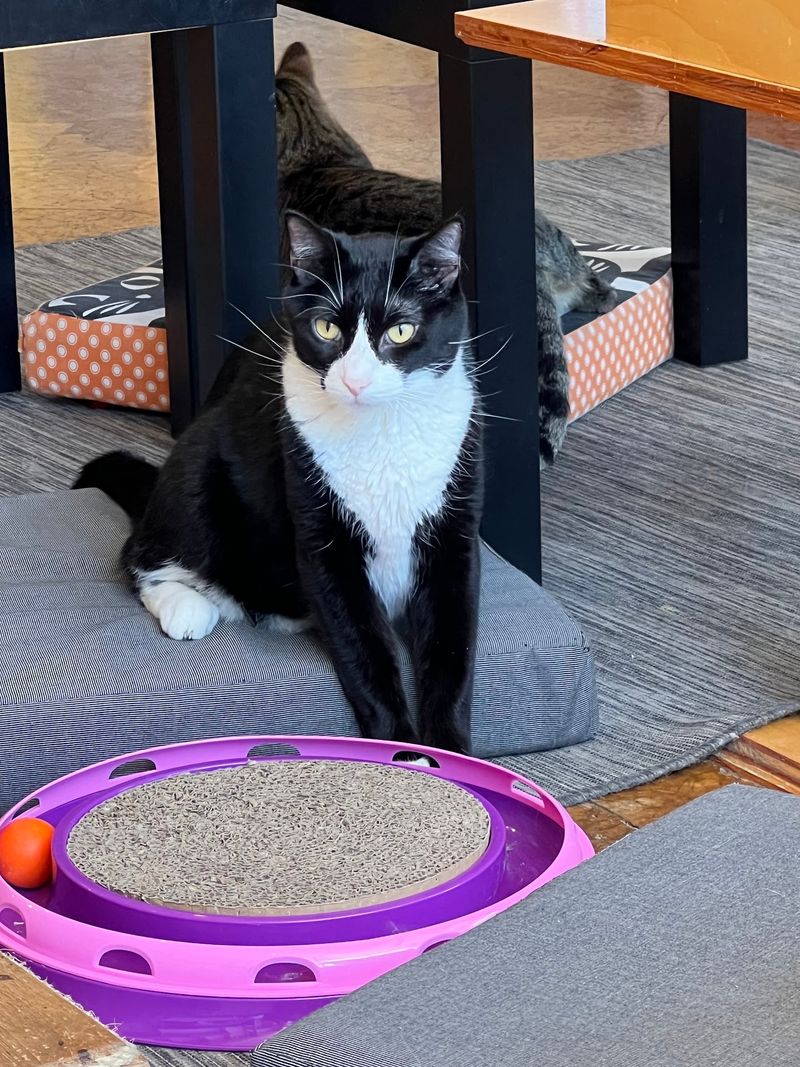Adoption Support Turns a Fun Stop Into Something Meaningful
