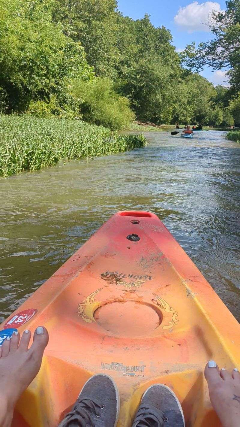 Affordable Fun Without a Big Price Tag