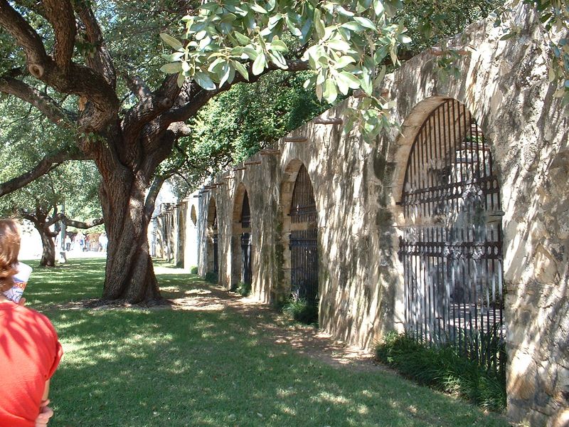 Alamo