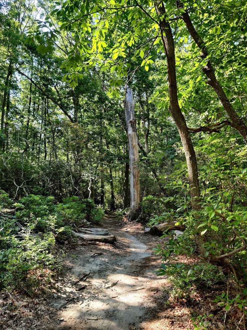 Allaire State Park Allaire State Park