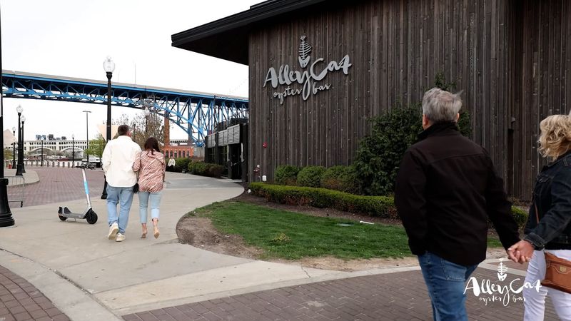 Alley Cat Oyster Bar - 1056 Old River Rd