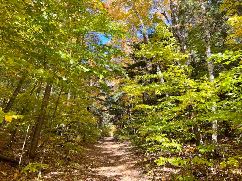 Alligator Hill Trail - Leelanau County Alligator Hill Trail - Leelanau County