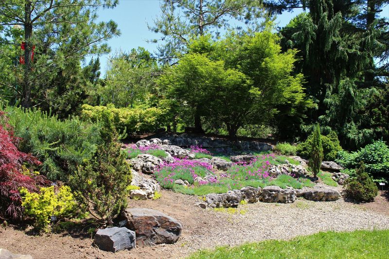 Ambler Arboretum Ambler Arboretum